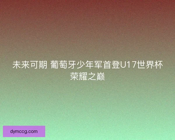 未来可期 葡萄牙少年军首登U17世界杯荣耀之巅