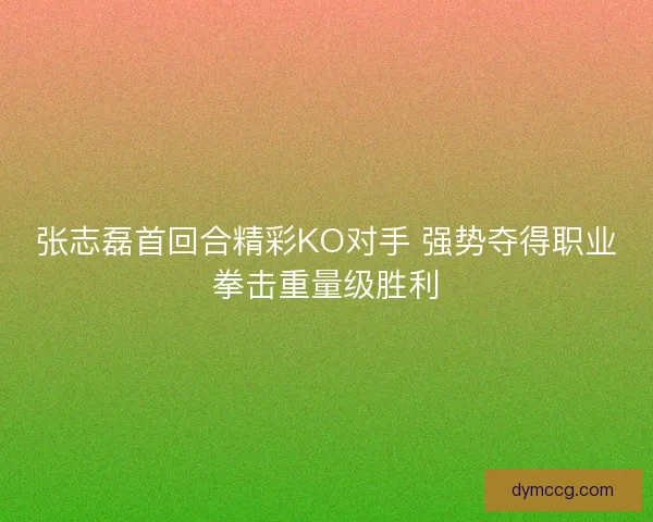 张志磊首回合精彩KO对手 强势夺得职业拳击重量级胜利